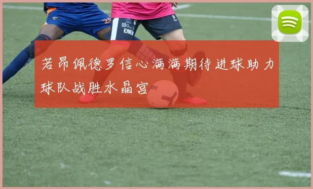 若昂佩德罗信心满满期待进球助力球队战胜水晶宫