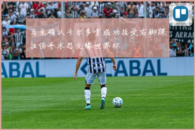 马竞确认卡尔多索成功接受右脚踝扭伤手术恐无缘世界杯